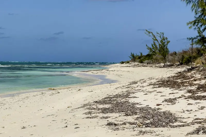 A quiet sandy beach with turquoise water in the Turks and Caicos Islands